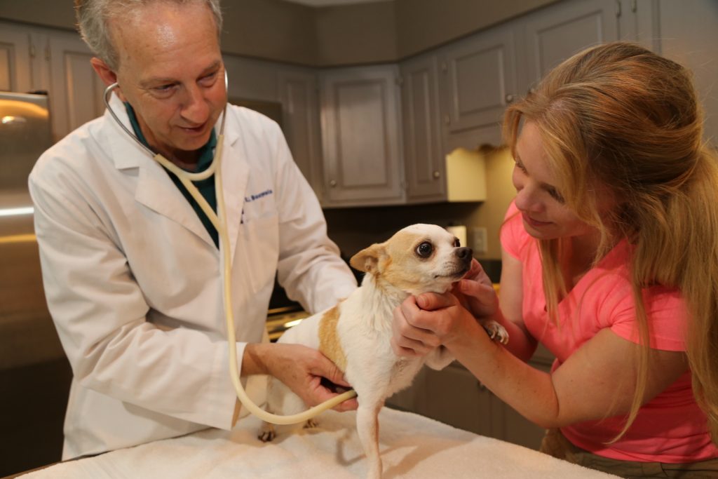 Mobile Vet Care is an affordable, less 